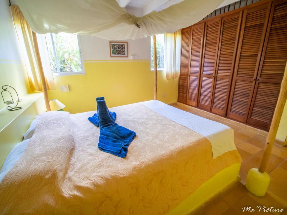 Residence Villas Les Hibiscus Las Terrenas Eksteriør bilde